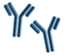 Anti-Platelet Antibodies Graphic Anti-platelet antibody illustration